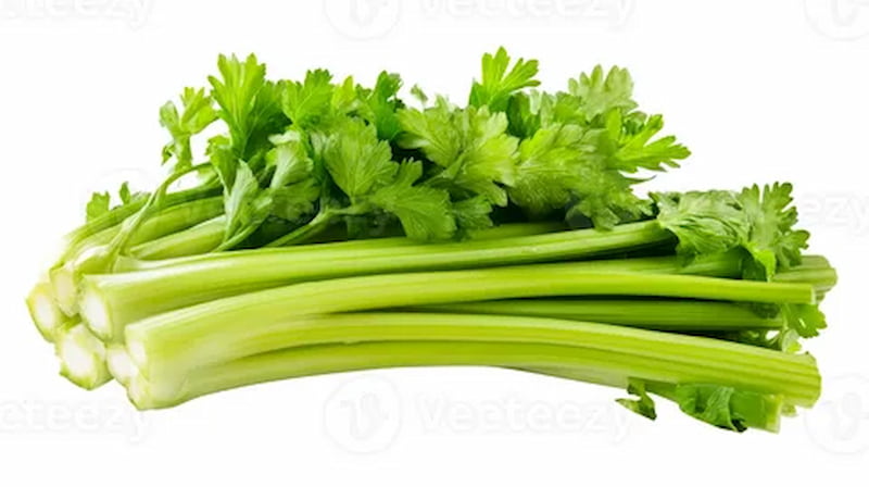 کرفس خورشت کرفس مناسب تهیه خورشت اصیل ایرانی